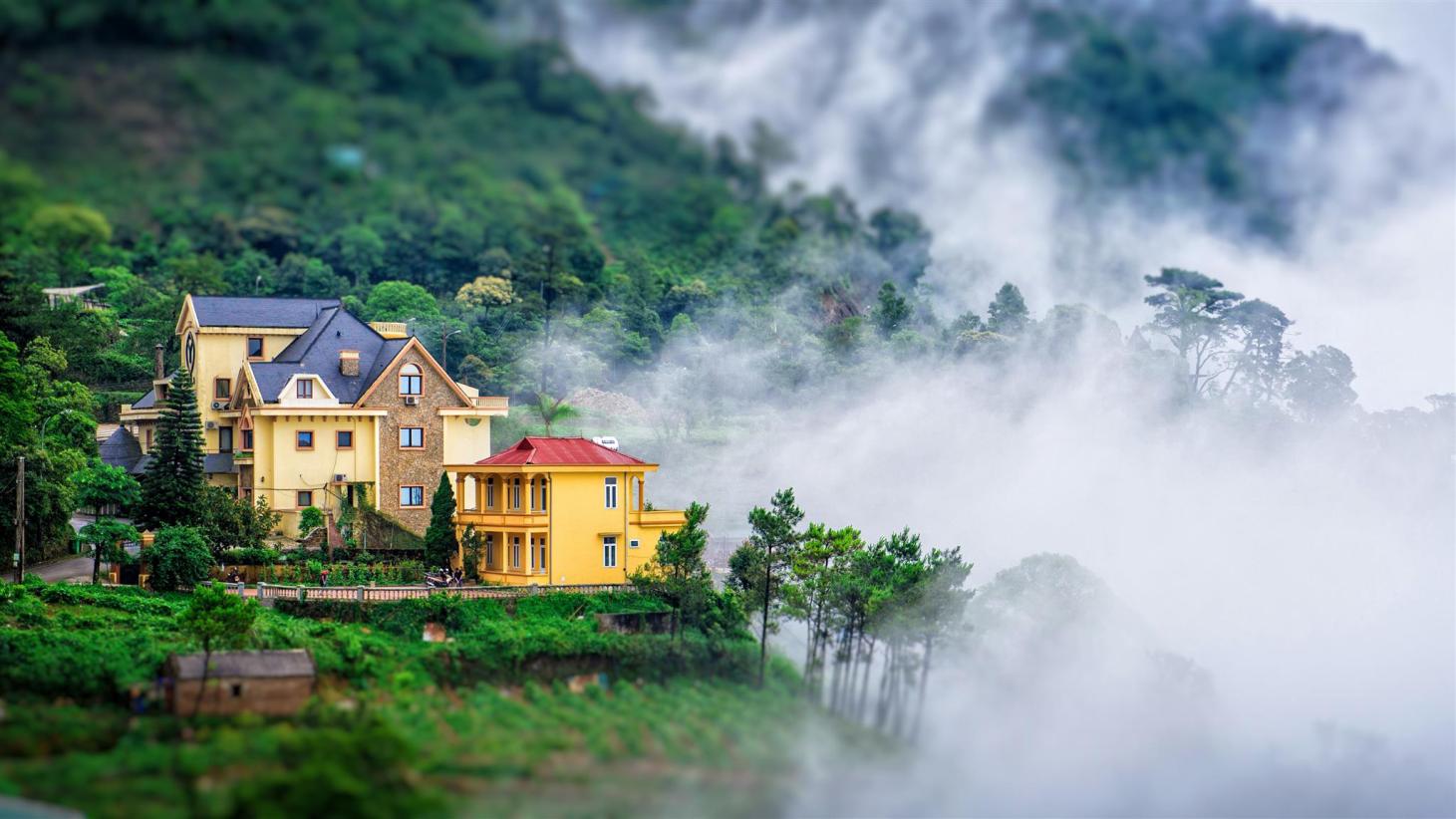 Tam Đảo là một vùng núi thuộc tỉnh Vĩnh Phúc, chỉ cách Hà Nội 80 km, chỉ hai giờ lái xe